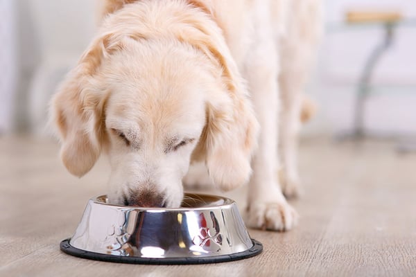 Furry Feasts pet food