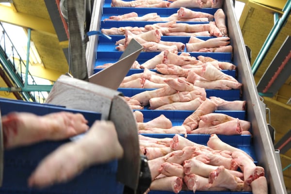European pork processor