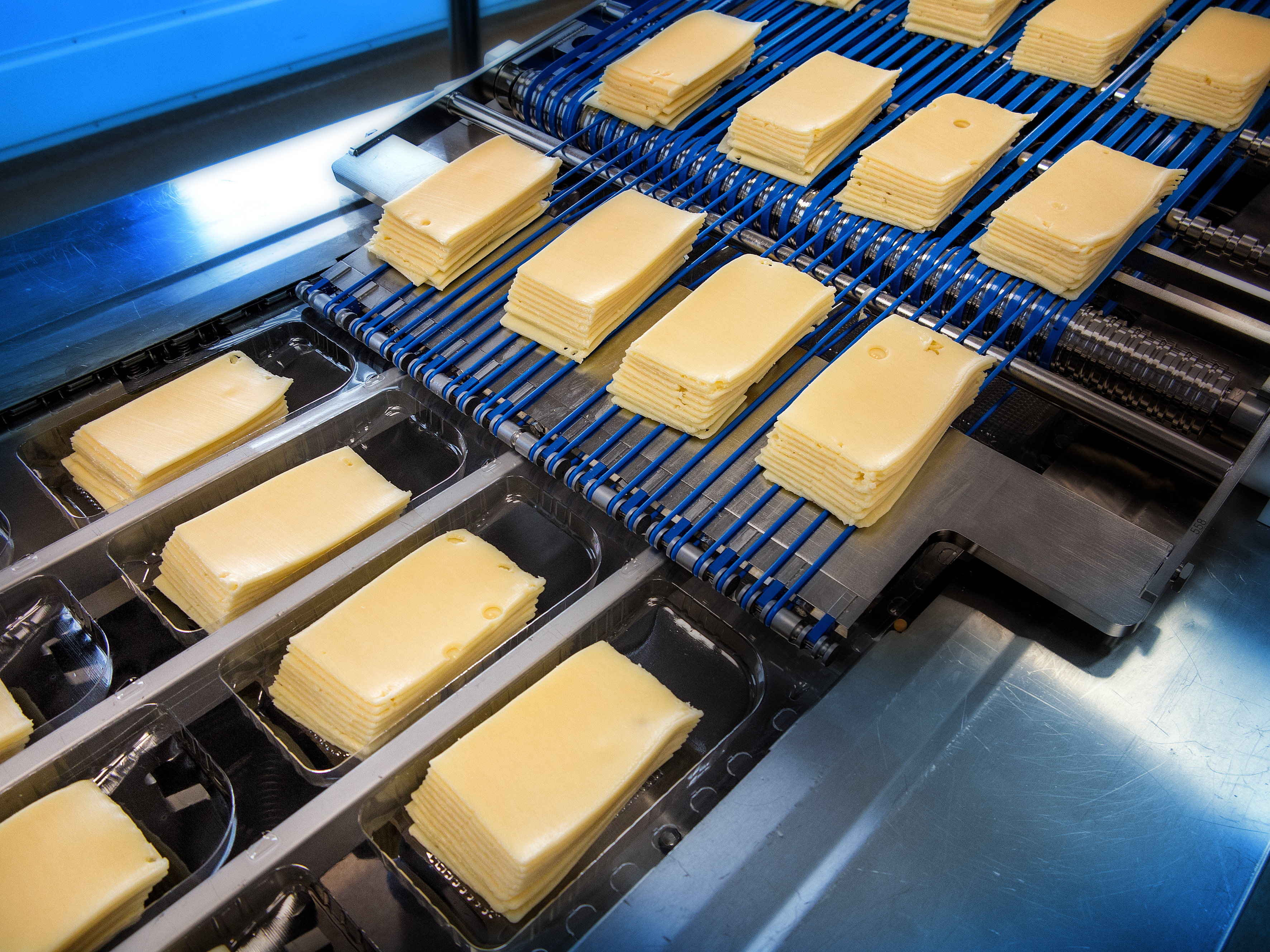 Sliced cheese line at Arla Foods Sliced cheese line at Arla Foods