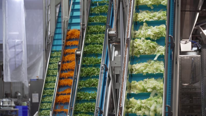 Installing A High-Speed Salad Layering Line With Sealpac UK and Partners