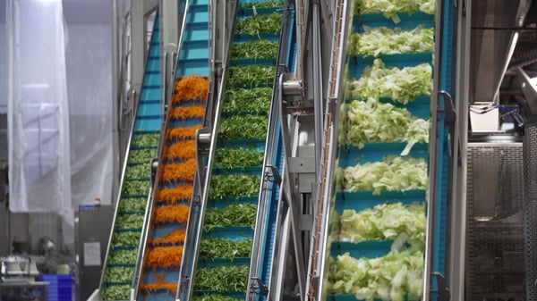 Installing A High-Speed Salad Layering Line With Sealpac UK and Partners