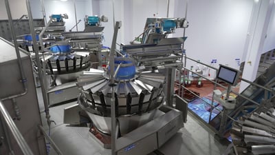 vlcsnap-2025-10-01-13h55m51s047