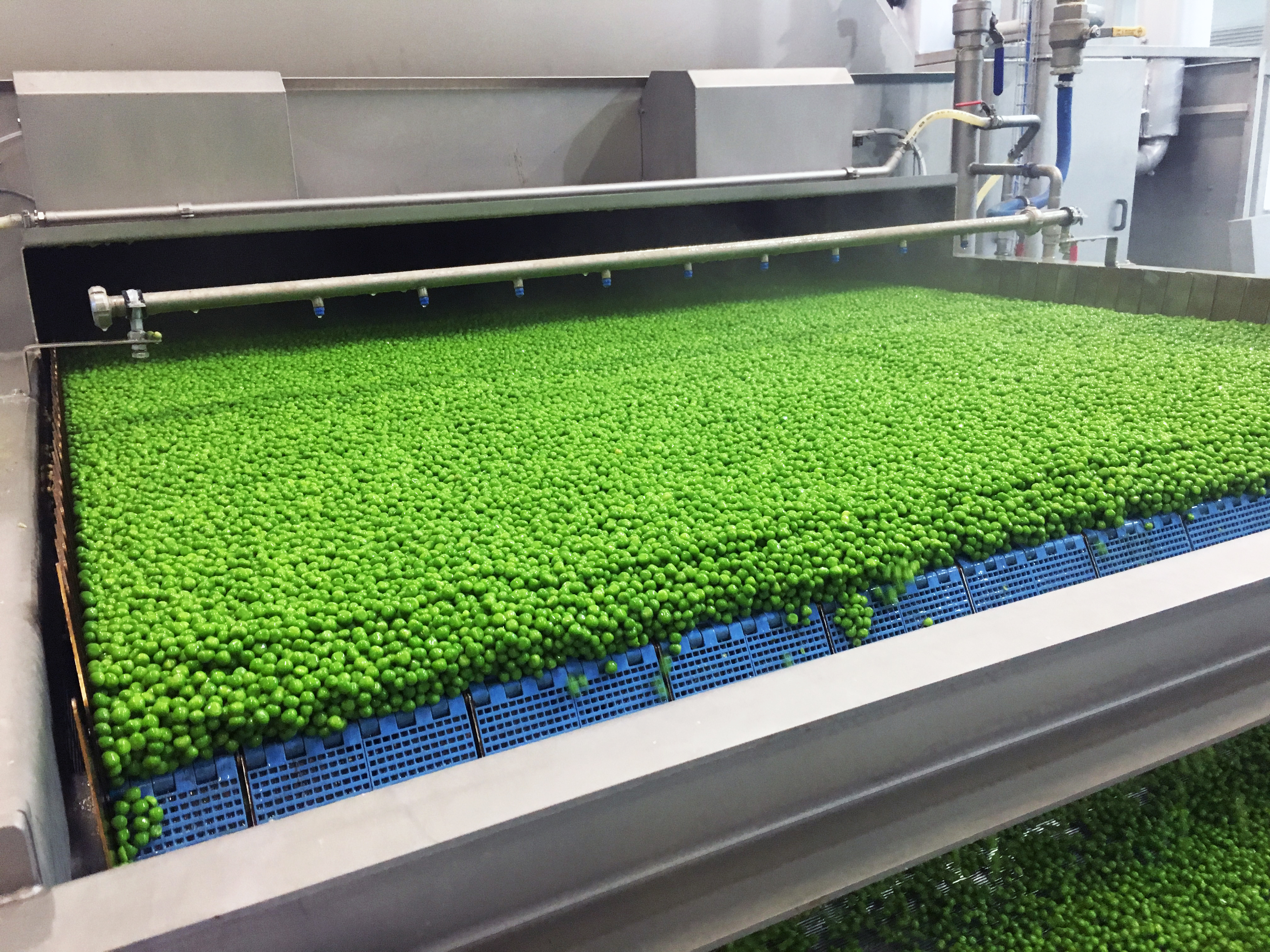 Pea processing