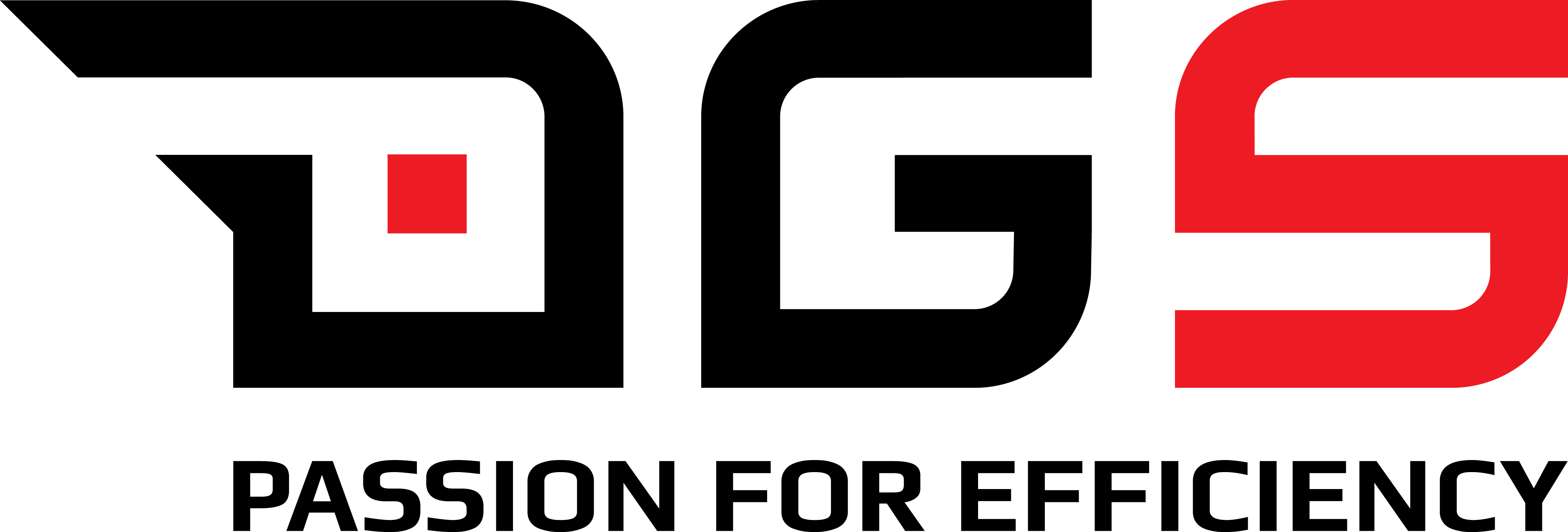 DGS Logo with Passion for Efficiency