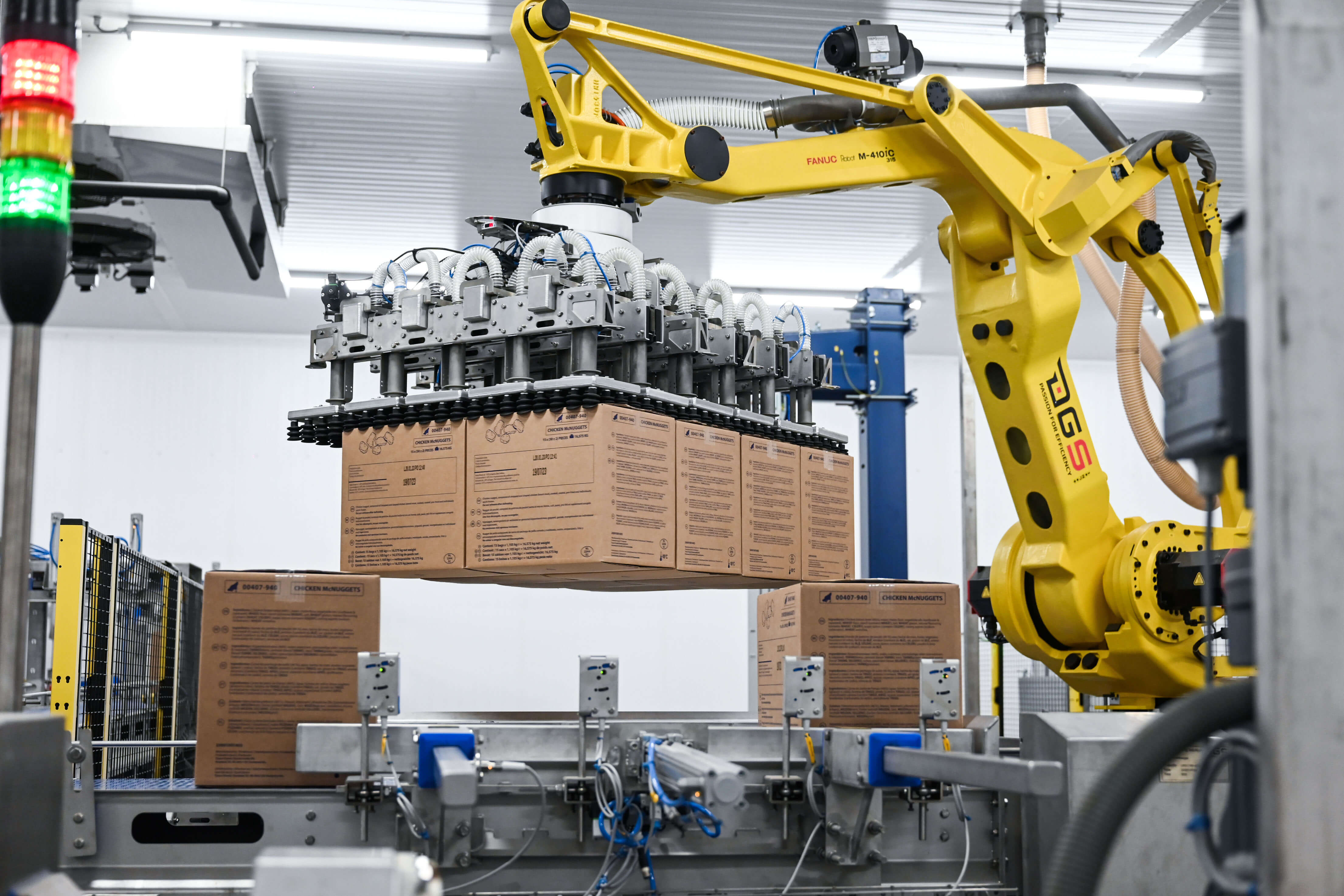 DGS Robot automation case and pallet packing