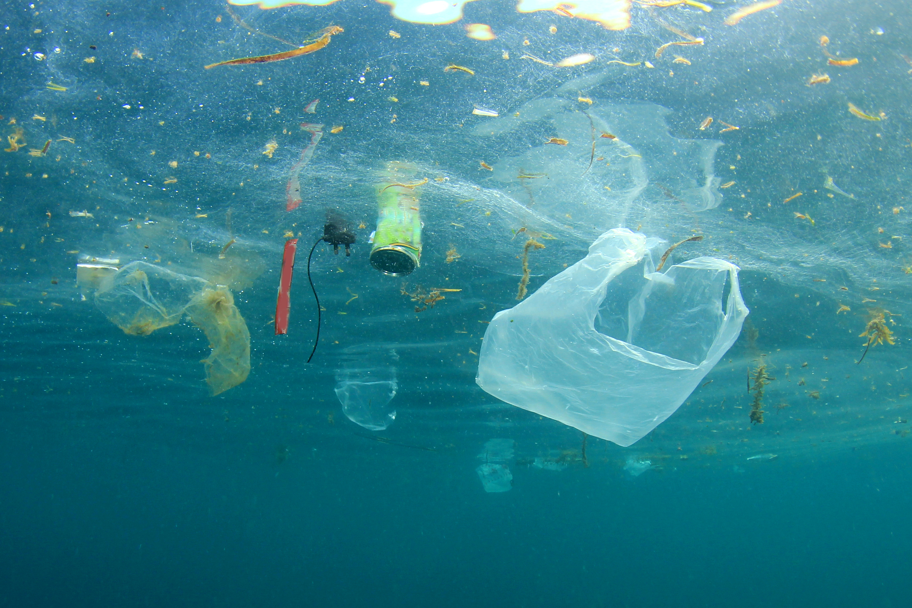 Is zero plastics really the answer?