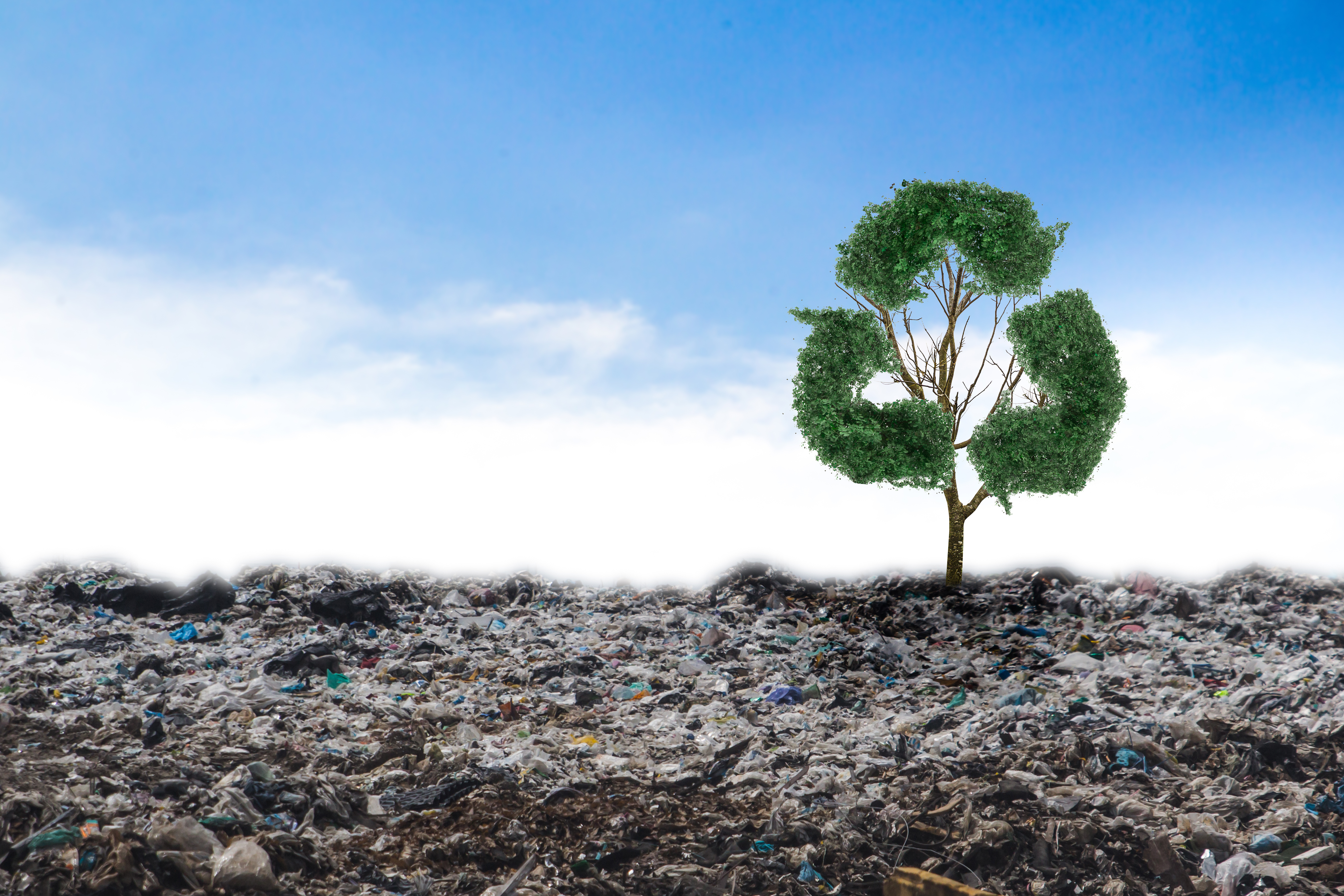 SEALPAC and the war on plastics