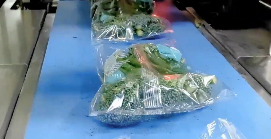 Broccoli flowrap 2