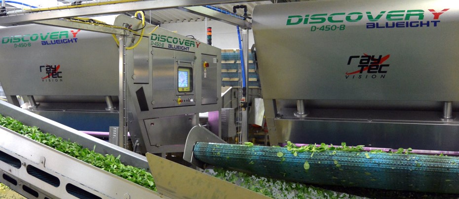 Discovery leaf production