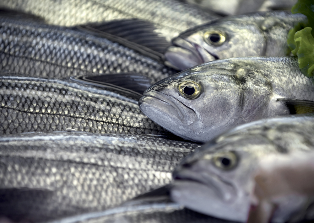 Slippery raw fish