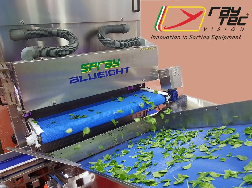Raytec Spray Fresh Cut (2)