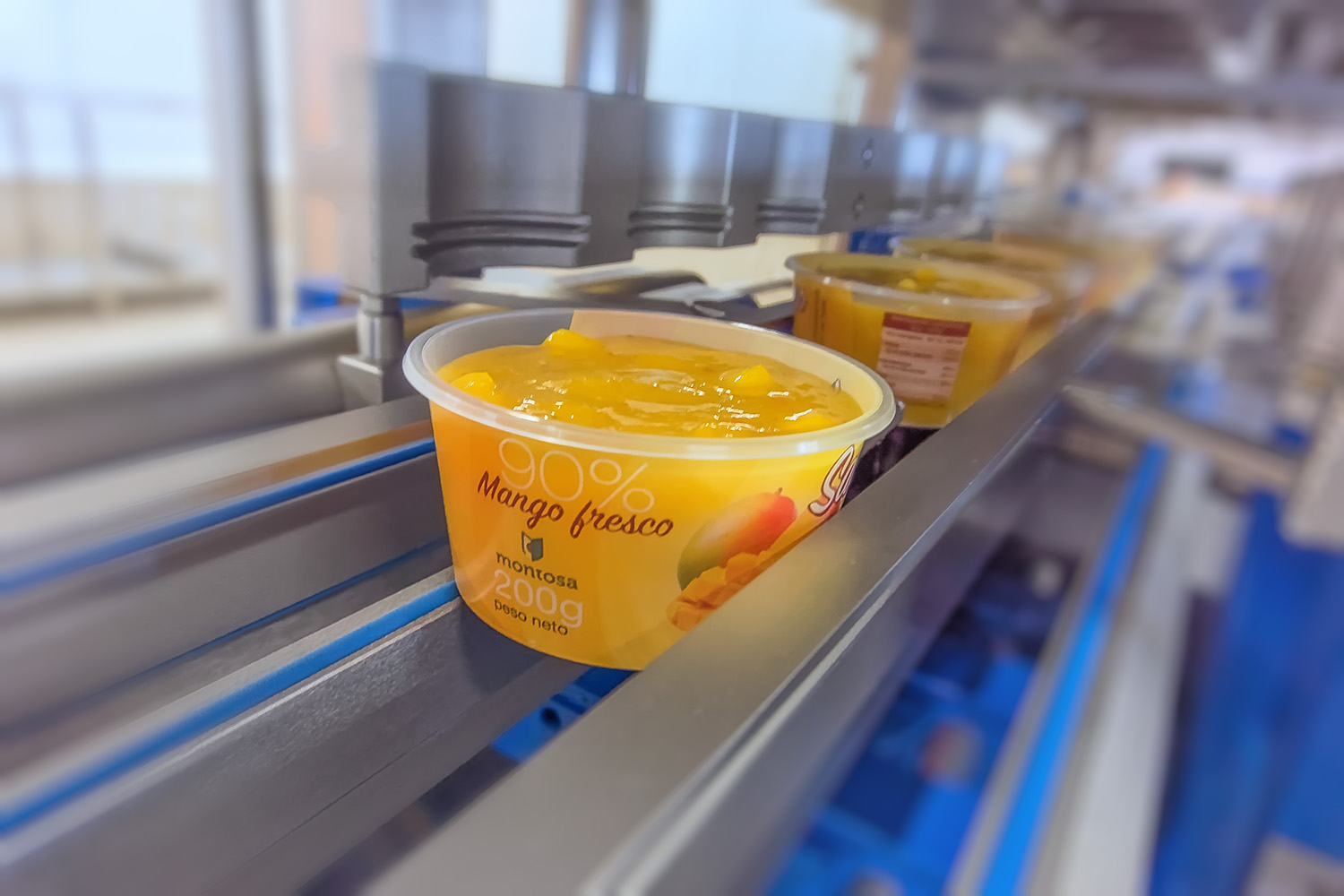 mango-in-tubs