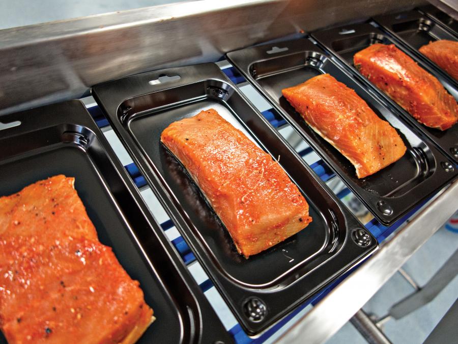 quality inspecting fish on production line