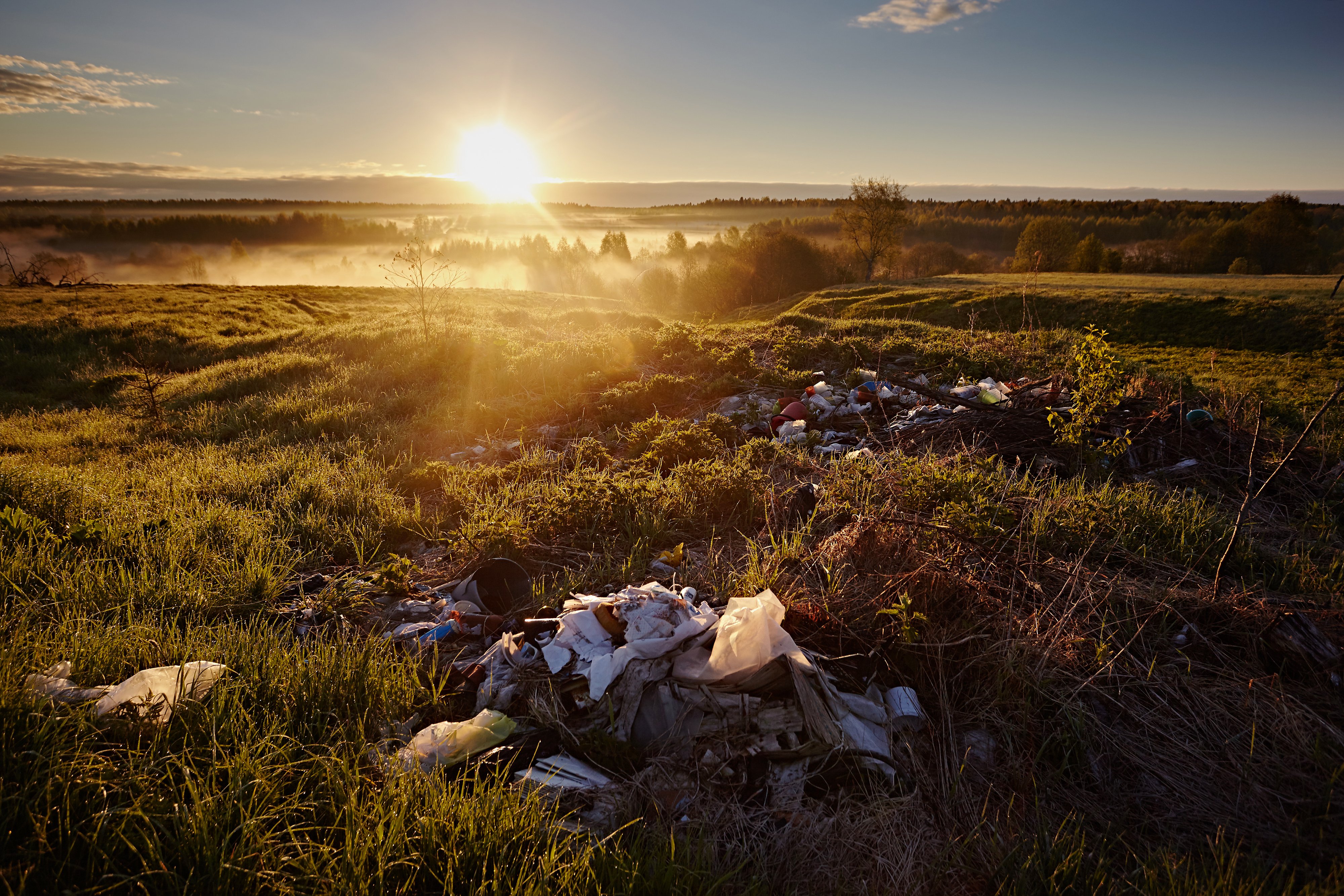 The Packaging Footprint of Alfresco Dining